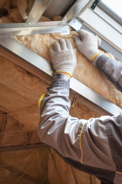 Best Local Insulation Services  in Manitou Springs, CO