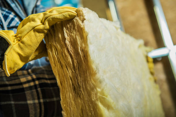 Best Insulation Replacement Services  in Manitou Springs, CO